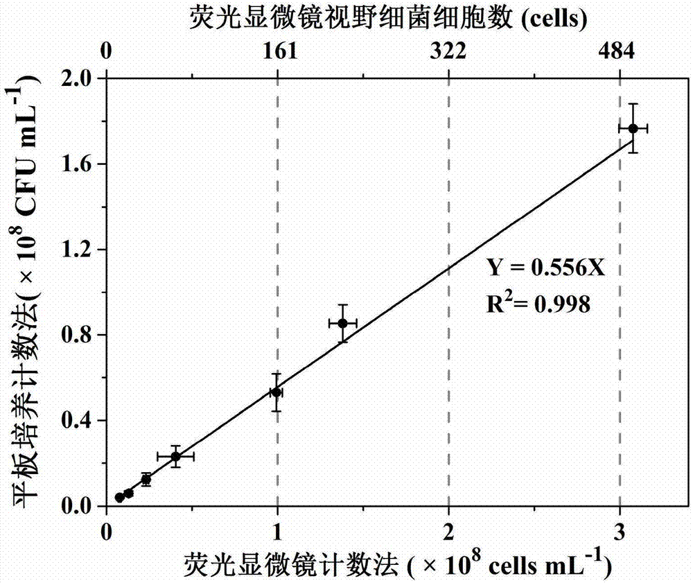 High-throughput absolute quantification method for soil bacteria