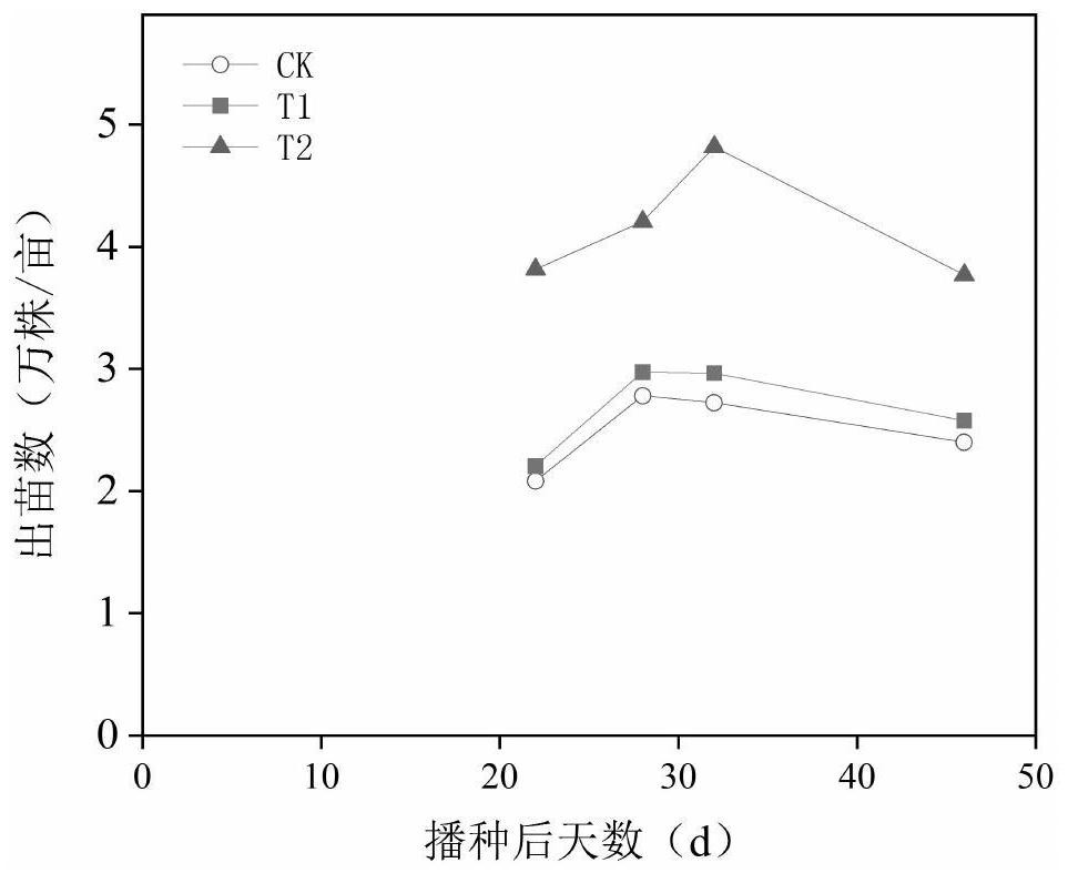 Brassica napus seed initiator, initiation method and application