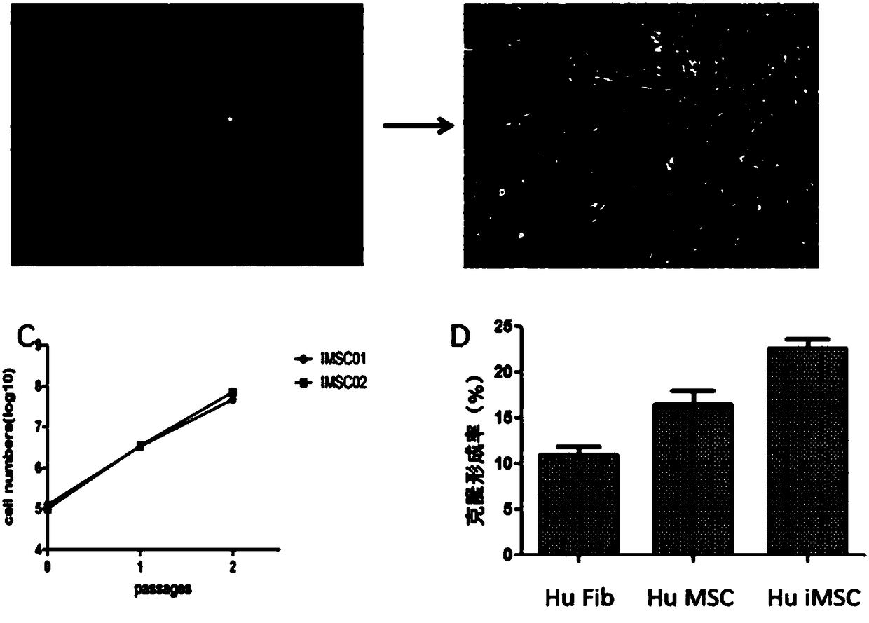 Small-molecular compound combination for differentiated cell reprogramming, reagent kit and application of small-molecular compound combination