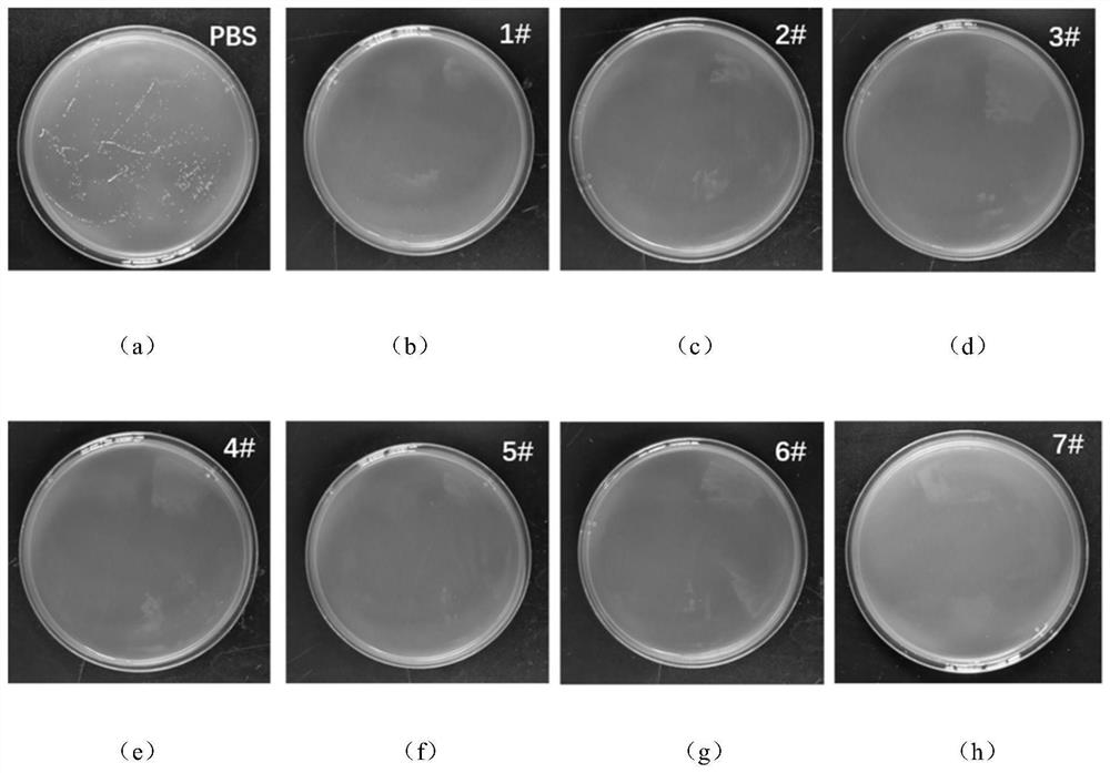 corneal-contact-lens-nursing-composition-as-well-as-preparation-method