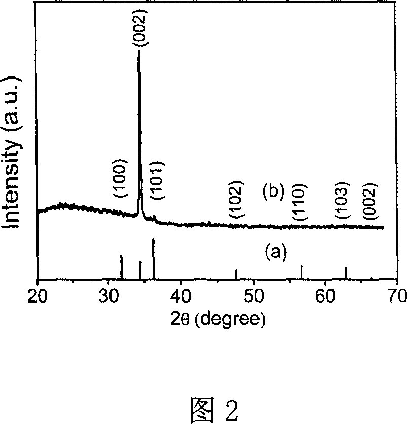 Nano porous zinc oxide thin film with high C-axis orientation and preparation method thereof