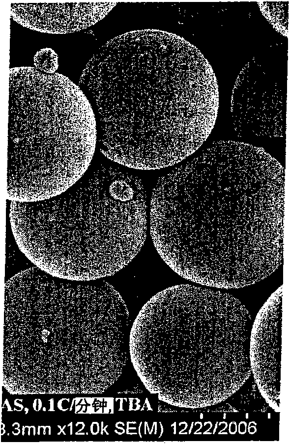 Nucleic acid microparticles for pulmonary delivery