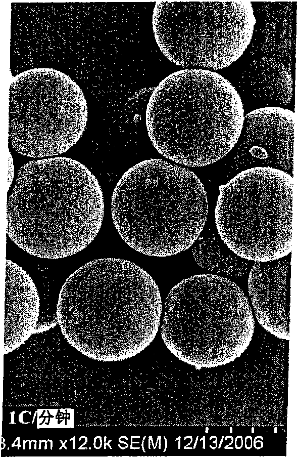 Nucleic acid microparticles for pulmonary delivery