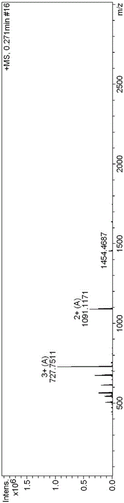 Antibacterial peptide and application thereof