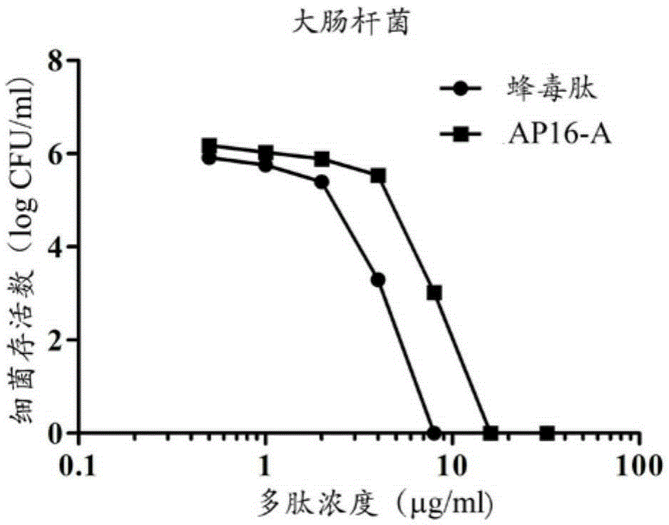 Antibacterial peptide and application thereof