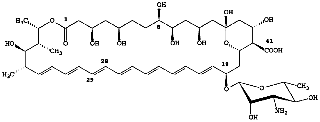 Method for screening high-yield amphotericin B streptomyces nodosus through high-throughput mutagenesis and strain