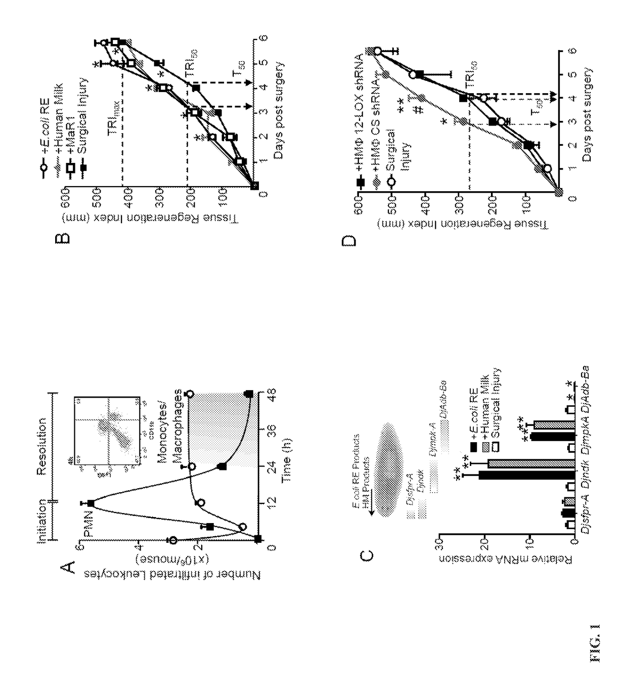 Oxylipin-peptide conjugated mediators that promote resolution of infection, organ protection and tissue regeneration