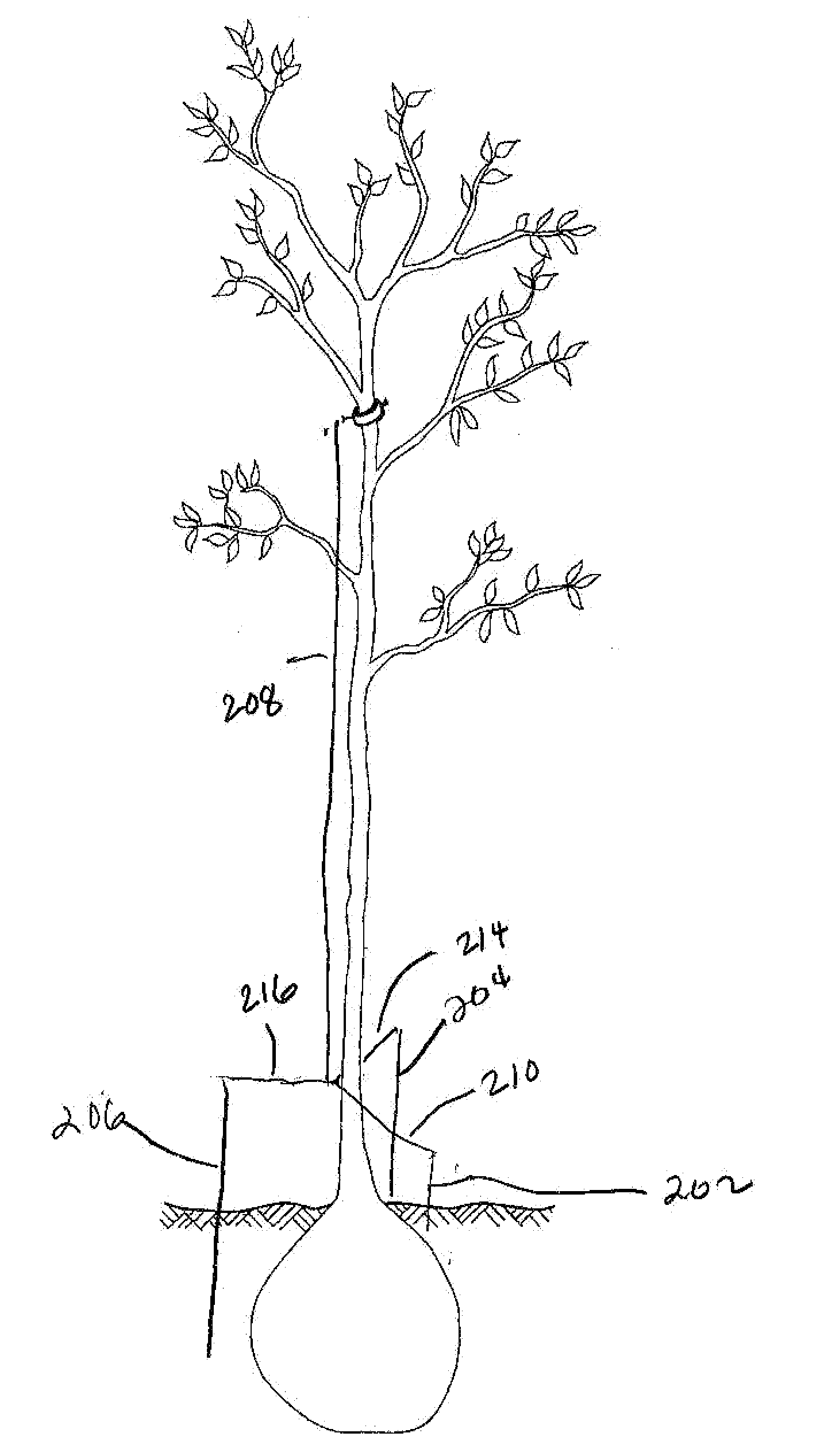 Tree stake