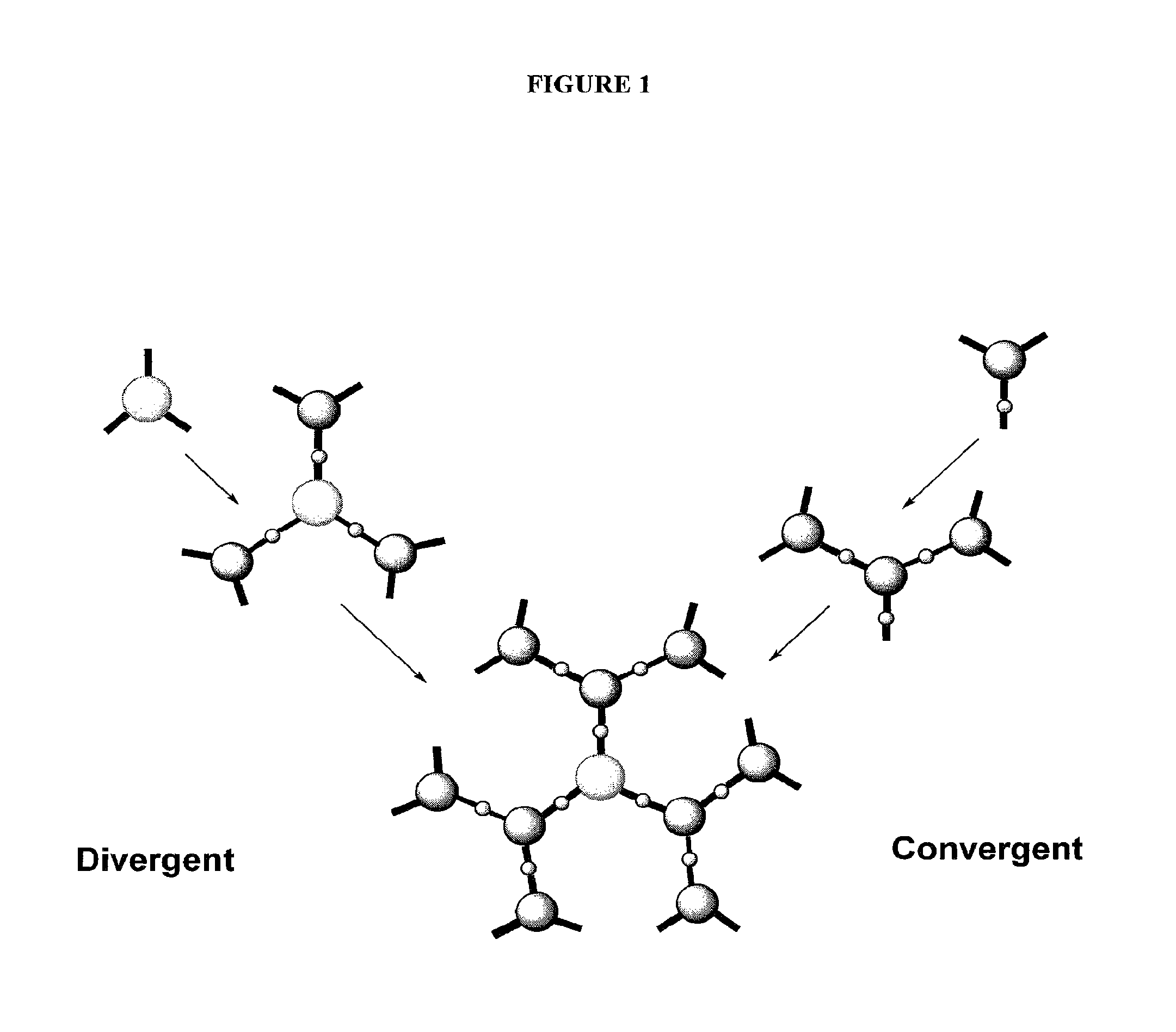 Dendrimer compositions and methods of synthesis