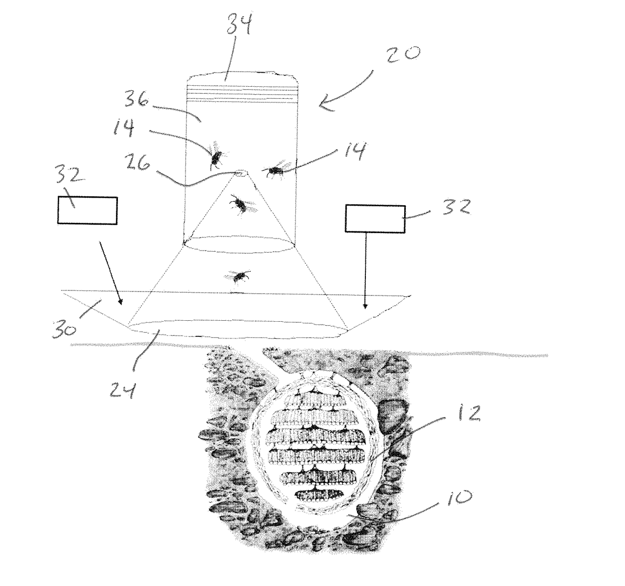 Insect trap apparatuses and methods of using the same