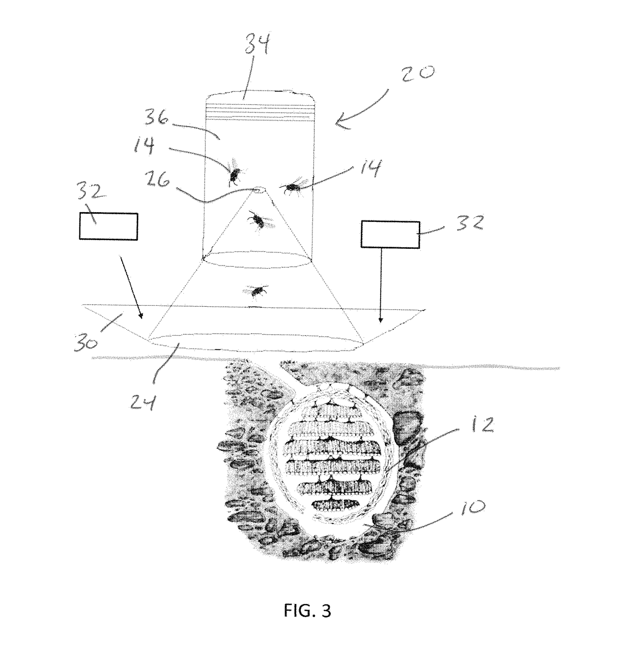 Insect trap apparatuses and methods of using the same