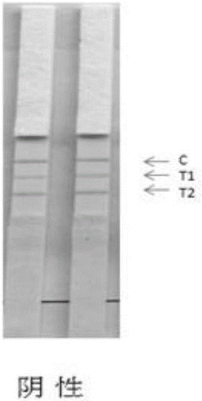 Test strip, preparation method thereof and application of test strip to combined detection of microalbuminuria and beta2 microglobulin