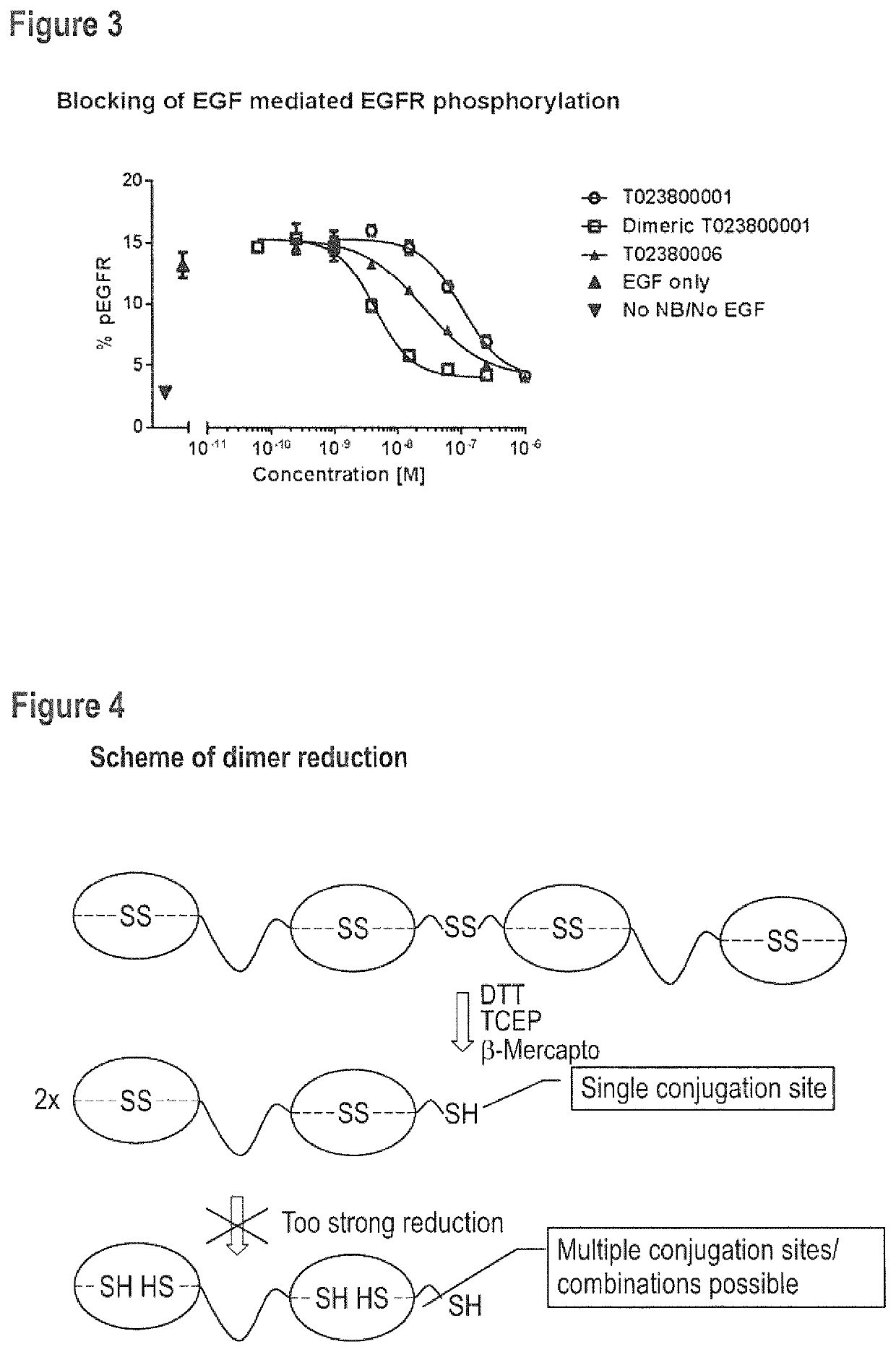 Nanobody dimers linked via C-terminally engineered cysteins