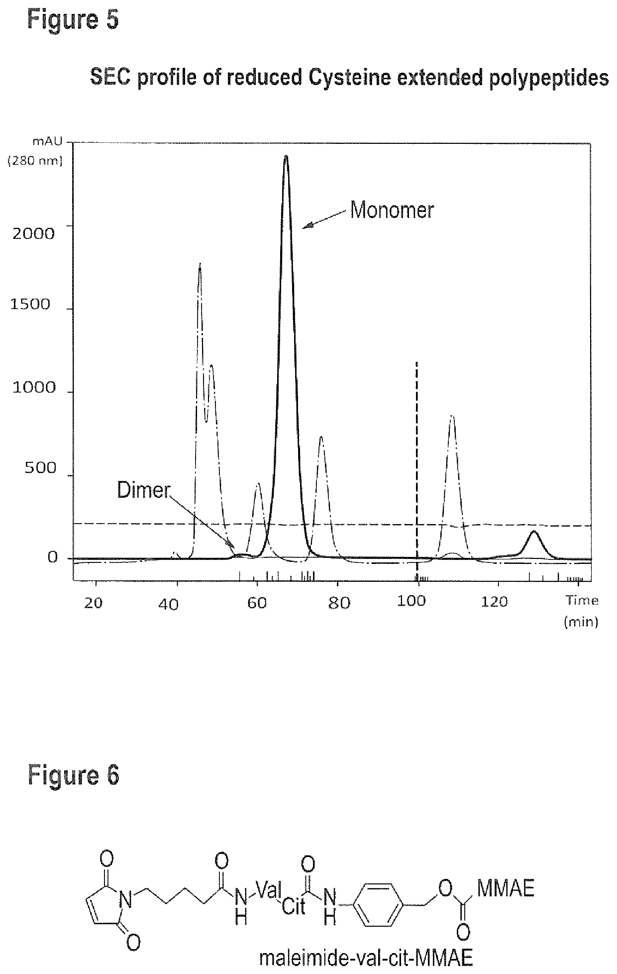 Nanobody dimers linked via C-terminally engineered cysteins