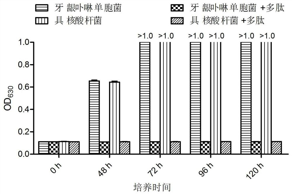 A kind of anti-oral pathogenic bacteria polypeptide and its application