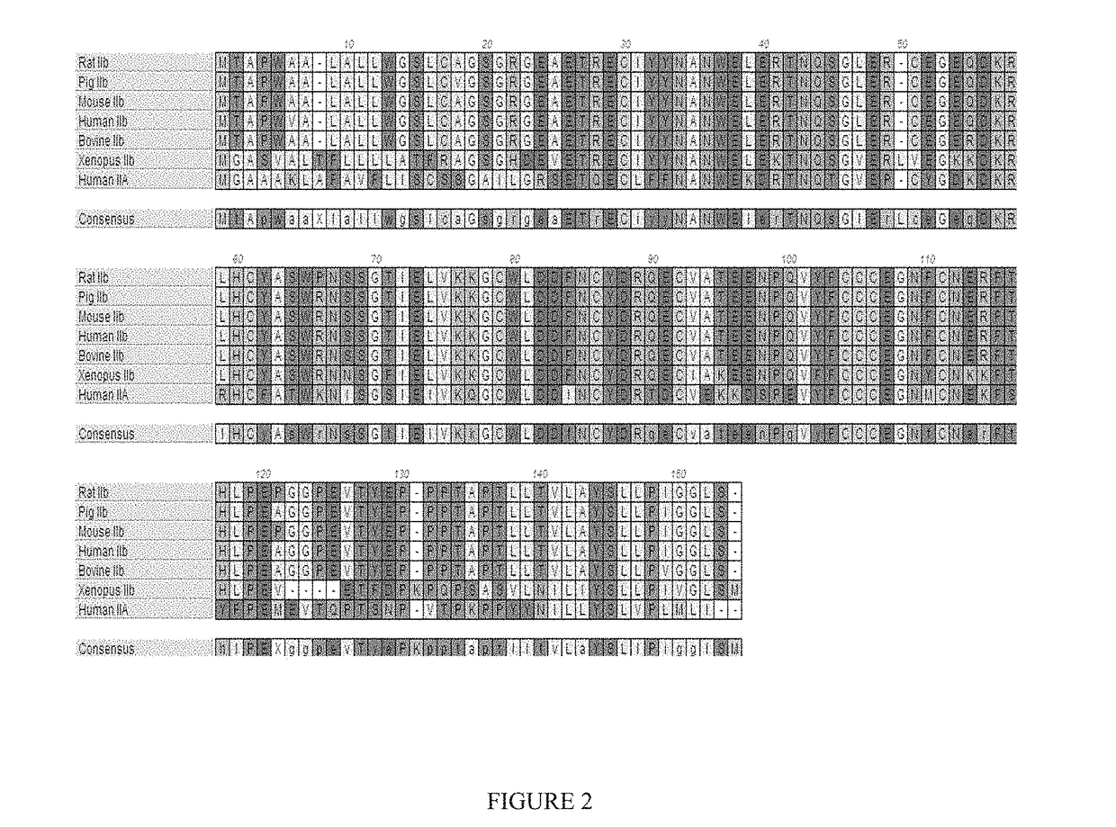 Methods for increasing red blood cell levels and treating ineffective erythropoiesis