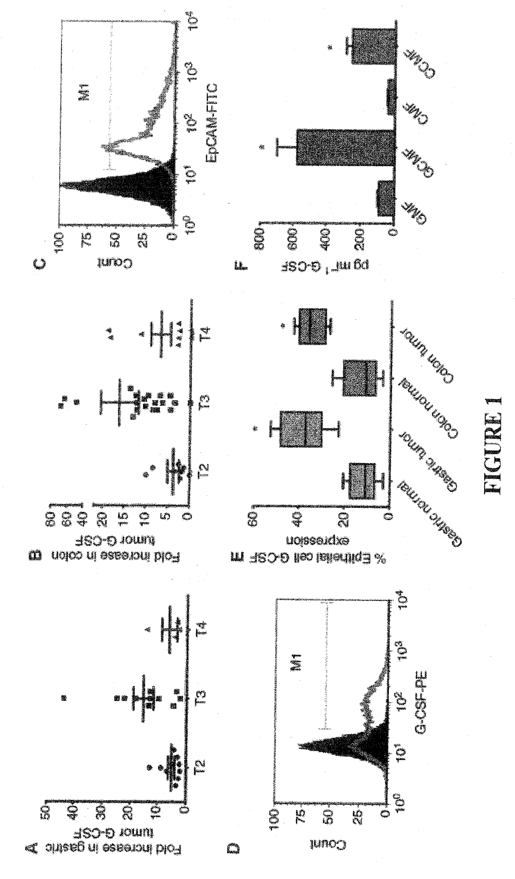 Inhibition of granulocyte colony stimulating factor in the treatment of cancer