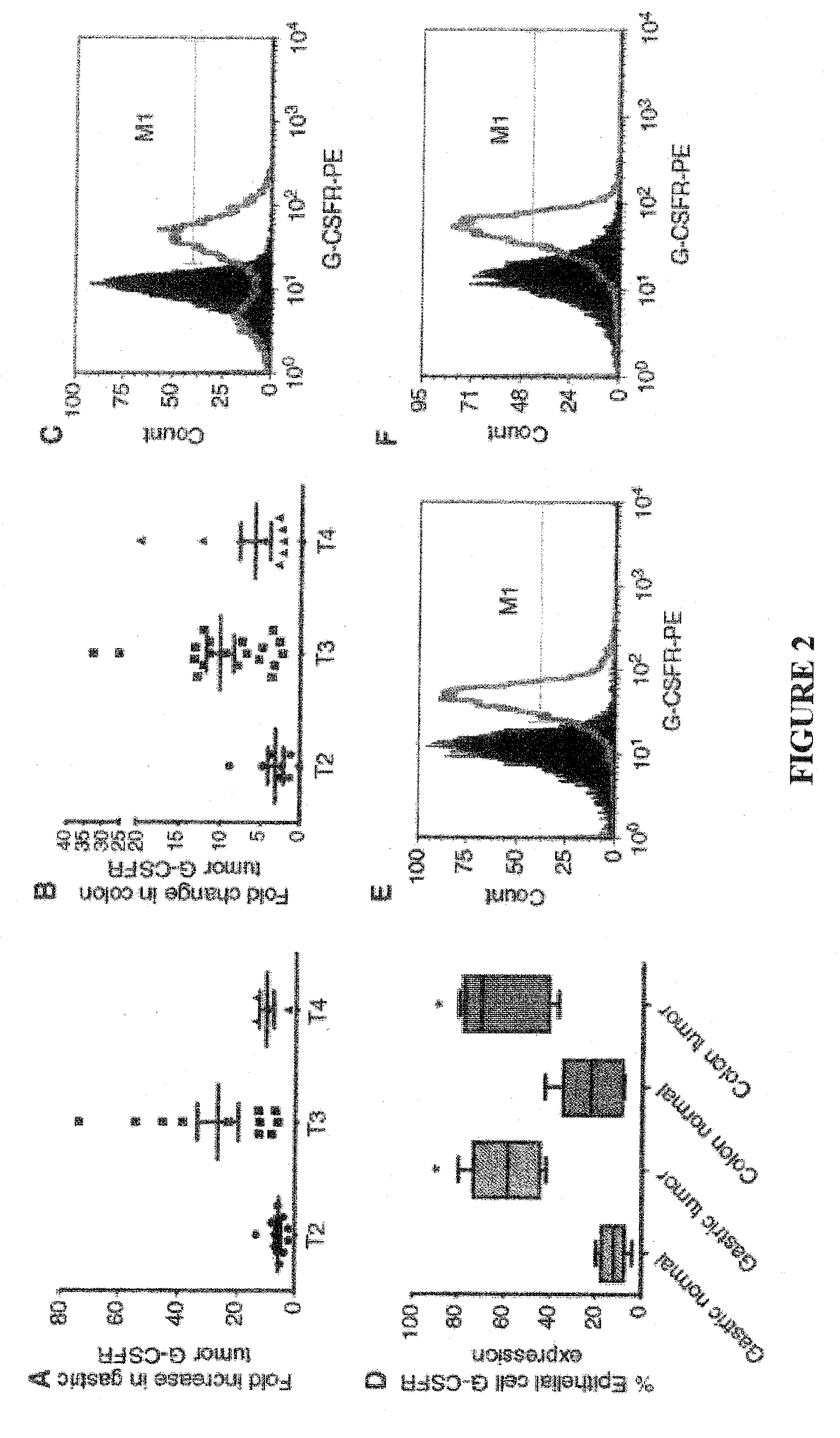 Inhibition of granulocyte colony stimulating factor in the treatment of cancer