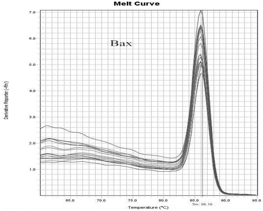 Method for predicting genetic toxicity with human bone mesenchymal stem cells