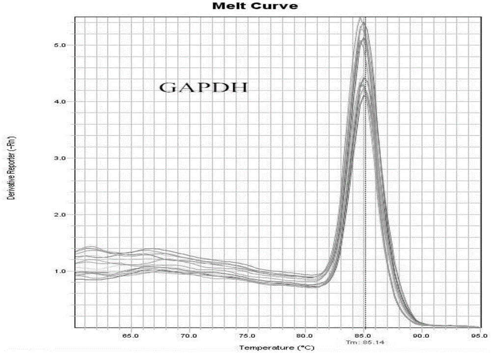 Method for predicting genetic toxicity with human bone mesenchymal stem cells