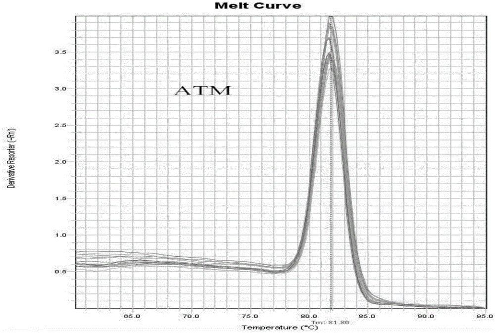 Method for predicting genetic toxicity with human bone mesenchymal stem cells