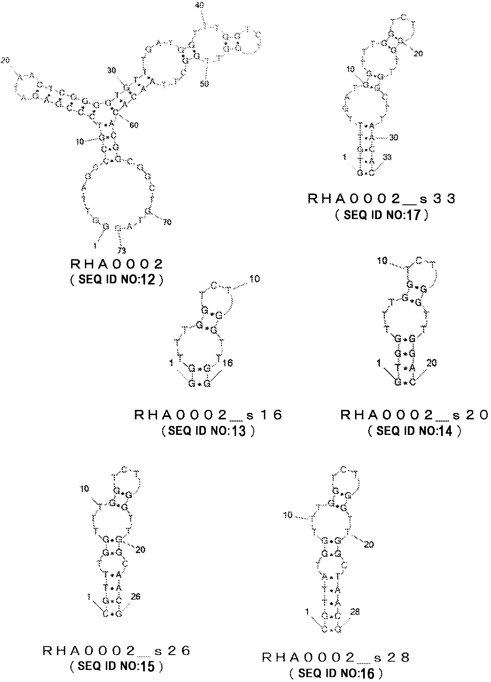 Nucleic acid molecule binding to influenza virus and use therefor