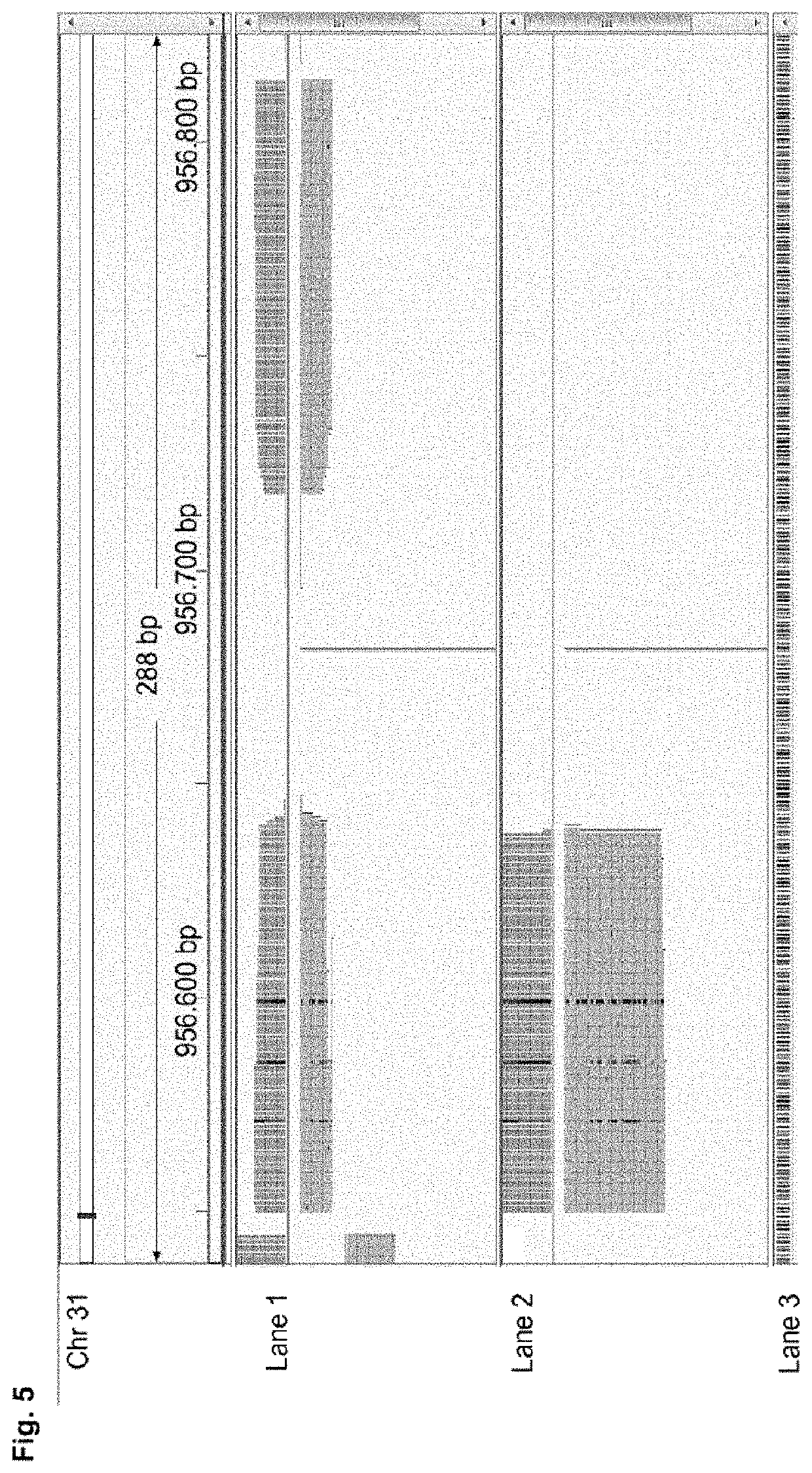 High-throughput genotyping by sequencing low amounts of genetic material