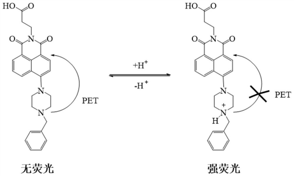 A kind of 1,8-naphthalimide derivative and its application