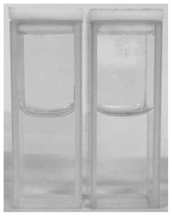 A kind of 1,8-naphthalimide derivative and its application