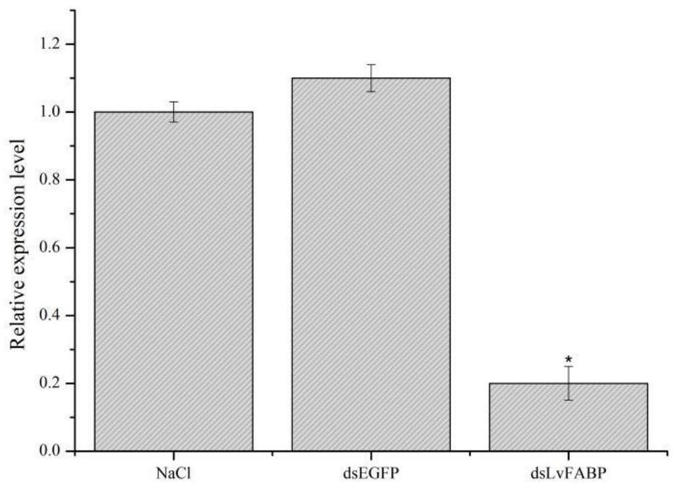 Binding protein of pathogenic vibrio PirB protein and application thereof