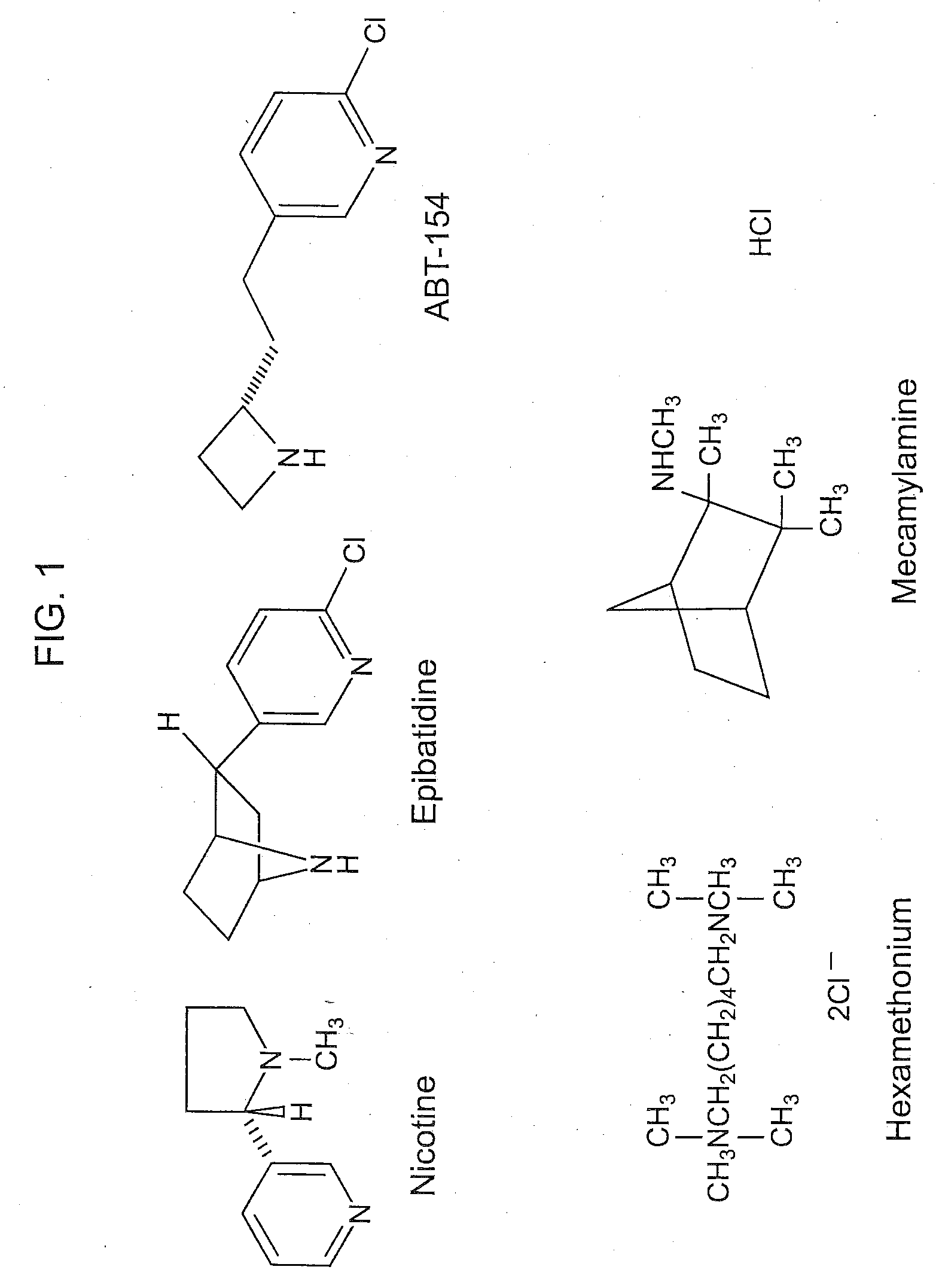 Nicotine  receptor agonists in stem cell and progenitor cell recruitment