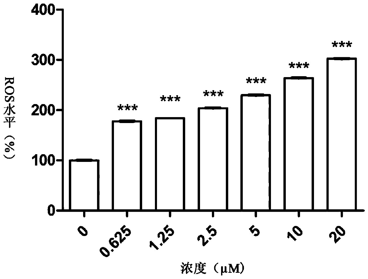 Application of glaucocalyxin A in preparation of drug for treating lung cancer