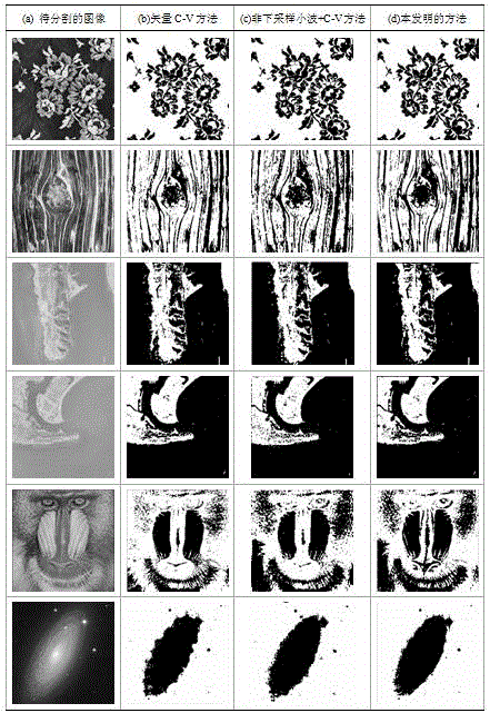 Image segmentation method based on non-down-sampling shearlet conversion and vector C-V model