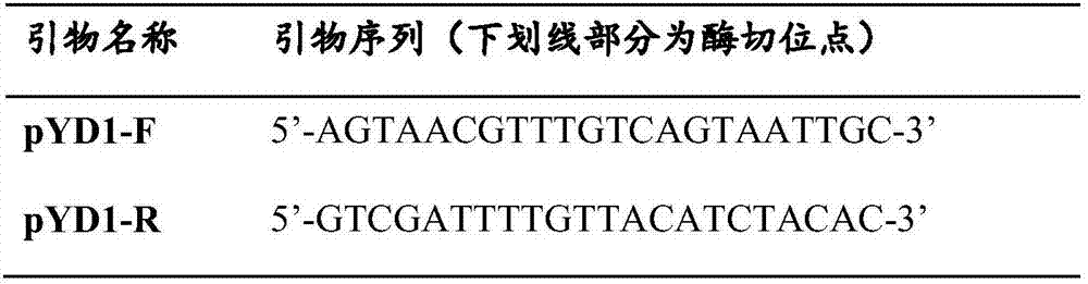 Alpha-L-rhamnosidase gene and application thereof