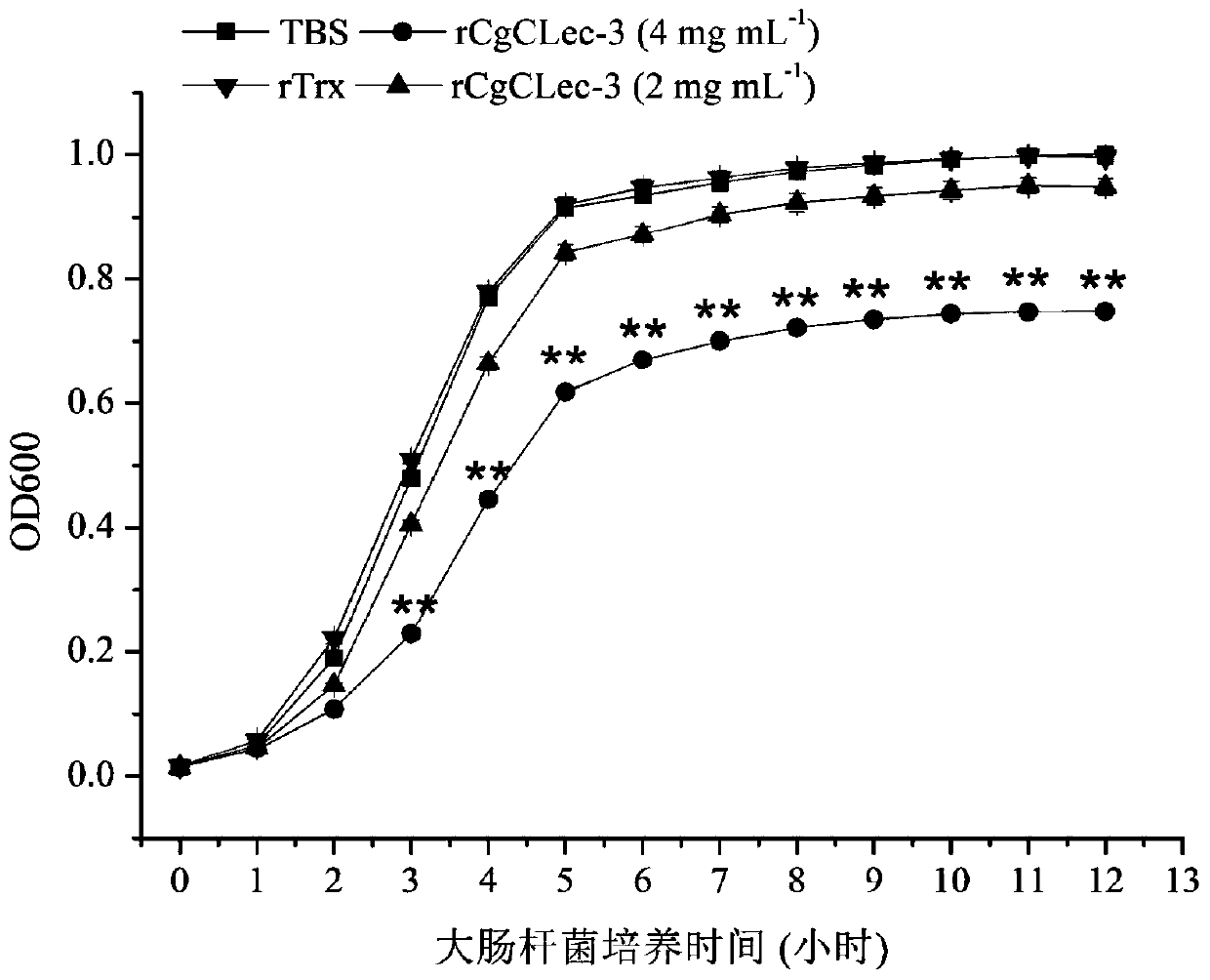 Application of c-type lectin-3 (cgclec-3) recombinant protein of long oyster