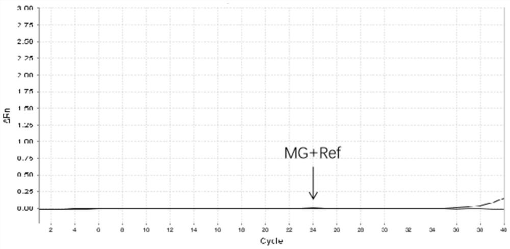 Mycoplasma genitalium nucleic acid real-time fluorescence PCR detection primer, probe and kit
