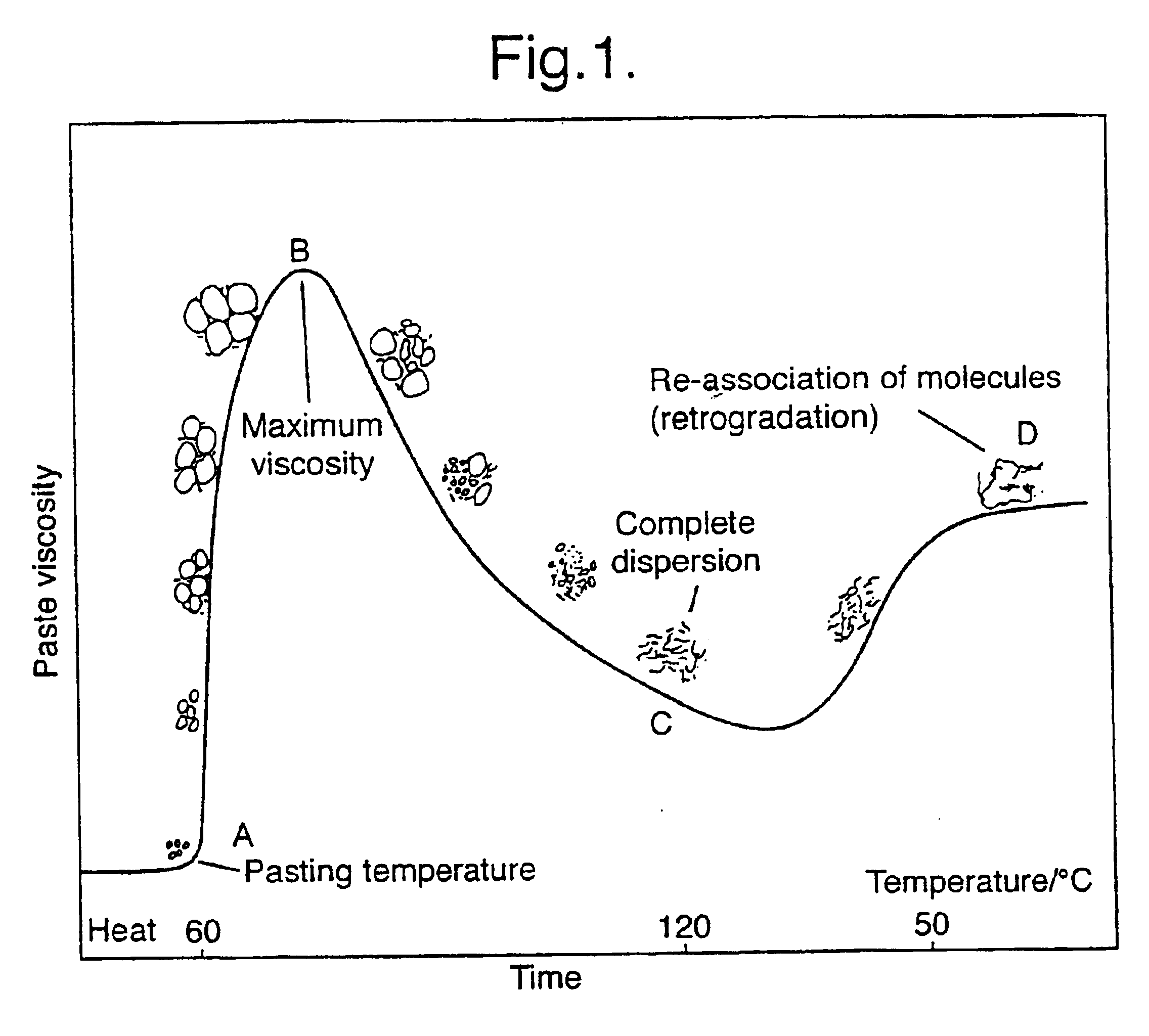 Isoforms of starch branching enzyme II (SBE-IIa and SBE-IIb) from wheat