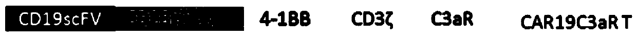 Chimeric antigen receptor containing c3ar intracellular domain, lentiviral vector, expressing cell and drug