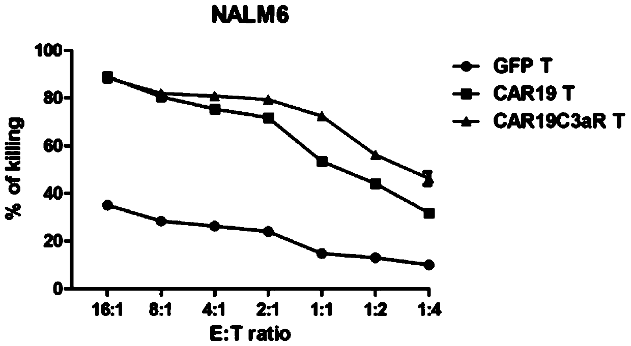 Chimeric antigen receptor containing c3ar intracellular domain, lentiviral vector, expressing cell and drug