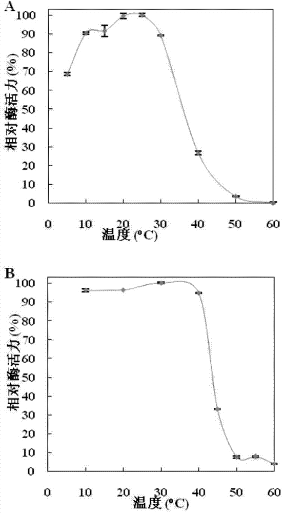 Glucan branching enzyme and coding gene and application thereof