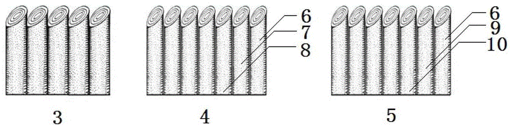 A method of docking and shaping the trunks of Lagerstroemia genus Lagerstroemia genus