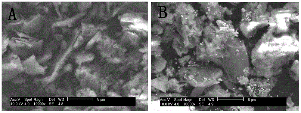 Biomass adsorbent, and preparation method and applications thereof