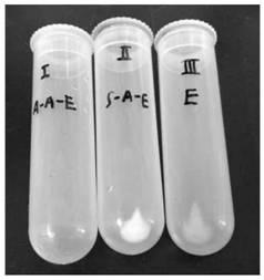 Method for extracting and detecting free-state DNA in sewage