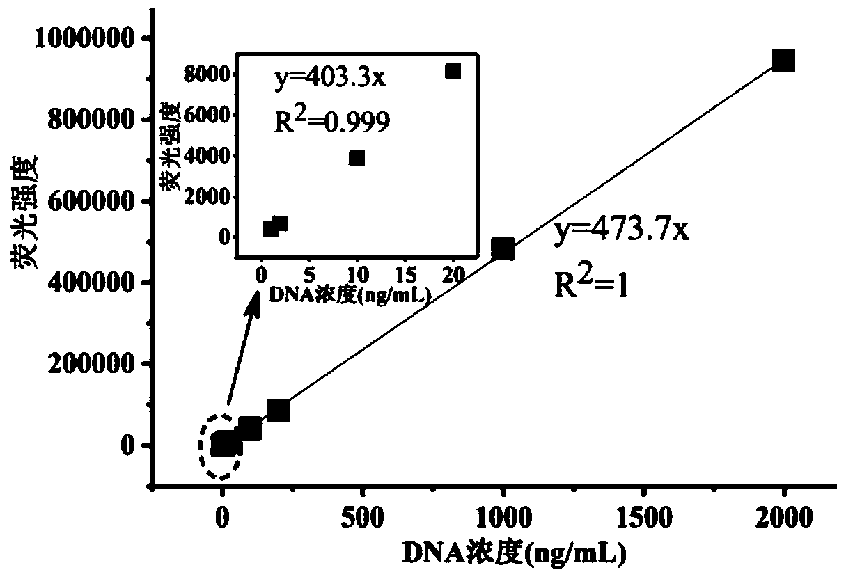 Method for extracting and detecting free-state DNA in sewage