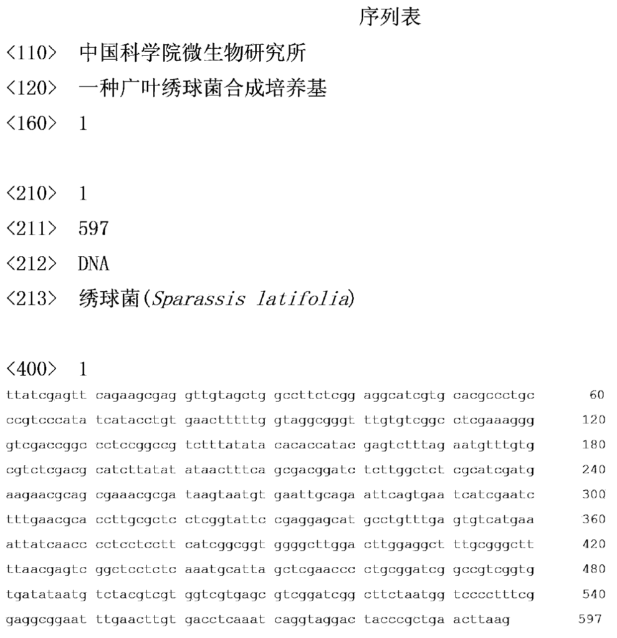 Synthetic medium of broad-leave Sparassis crispa