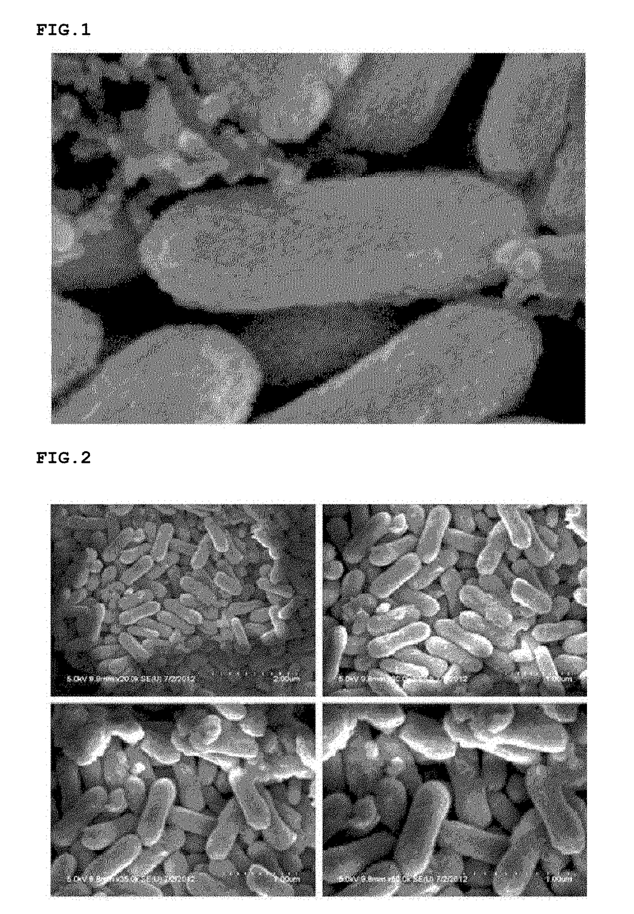 Method of preparing iron oxide nanoparticles