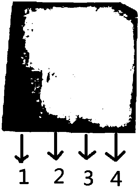 Preparation and application of monoclonal antibody resisting m6A