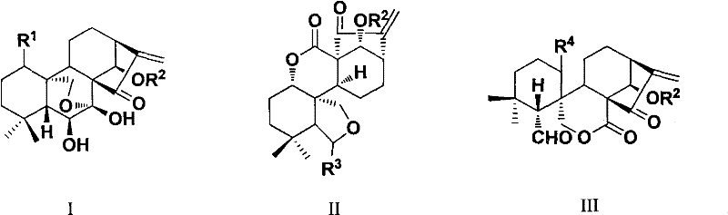 Rubescensine A having antitumor activity and fluorine-containing derivatives of 6,7-cyclobebescensine A, preparation method and use