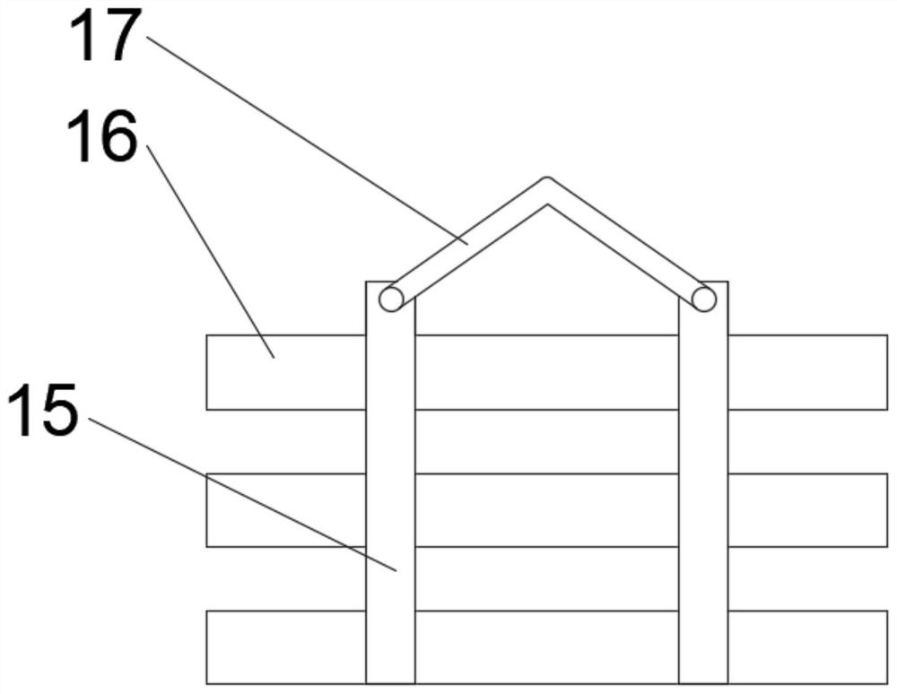 Culture device for masson pine strains