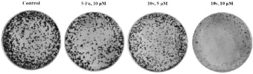 Trimethoxyflavone salicylic acid derivative and antitumor activity thereof